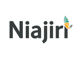 Nurse Manager at Niajiri Platform LTD , Dar es Salaam , September 2025