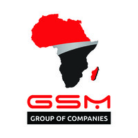 Customer Support & Success Representative at GSM