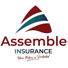 Internship Counsellor at Assemble Insurance, Dar es Salaam - November 2025