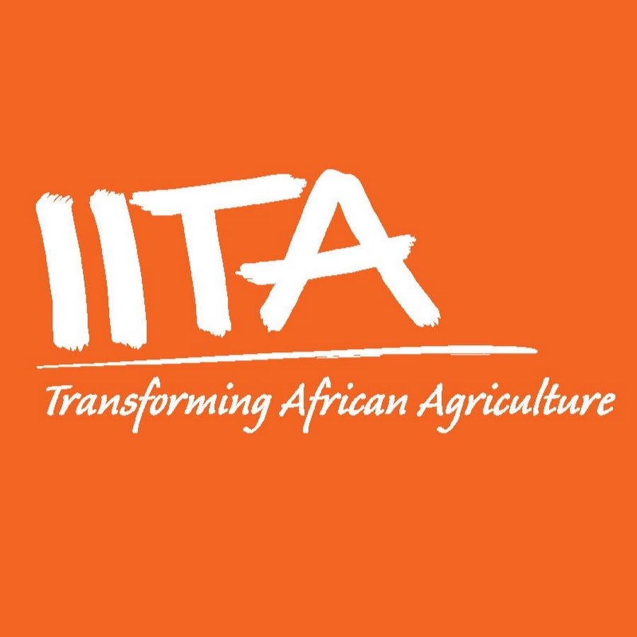 Accounting Assistant at IITA , Dar es Salaam - November 2025