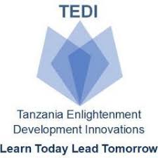 Field Coordinator - Digital Learning Programs (Entry Level) at TEDI Dar es Salaam & Moshi - November 2025