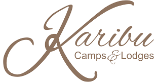 Executive Housekeeper at Karibu Lodges & Camps , Arusha - November 2025