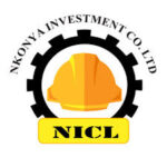 Nkonya Investment Company Limited (NICL)