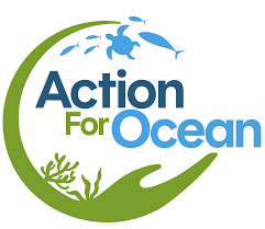 IT Officer at AFO, Dar es Salaam – December 2025