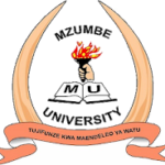 Mzumbe University