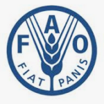 Food and Agriculture Organization of the United Nations