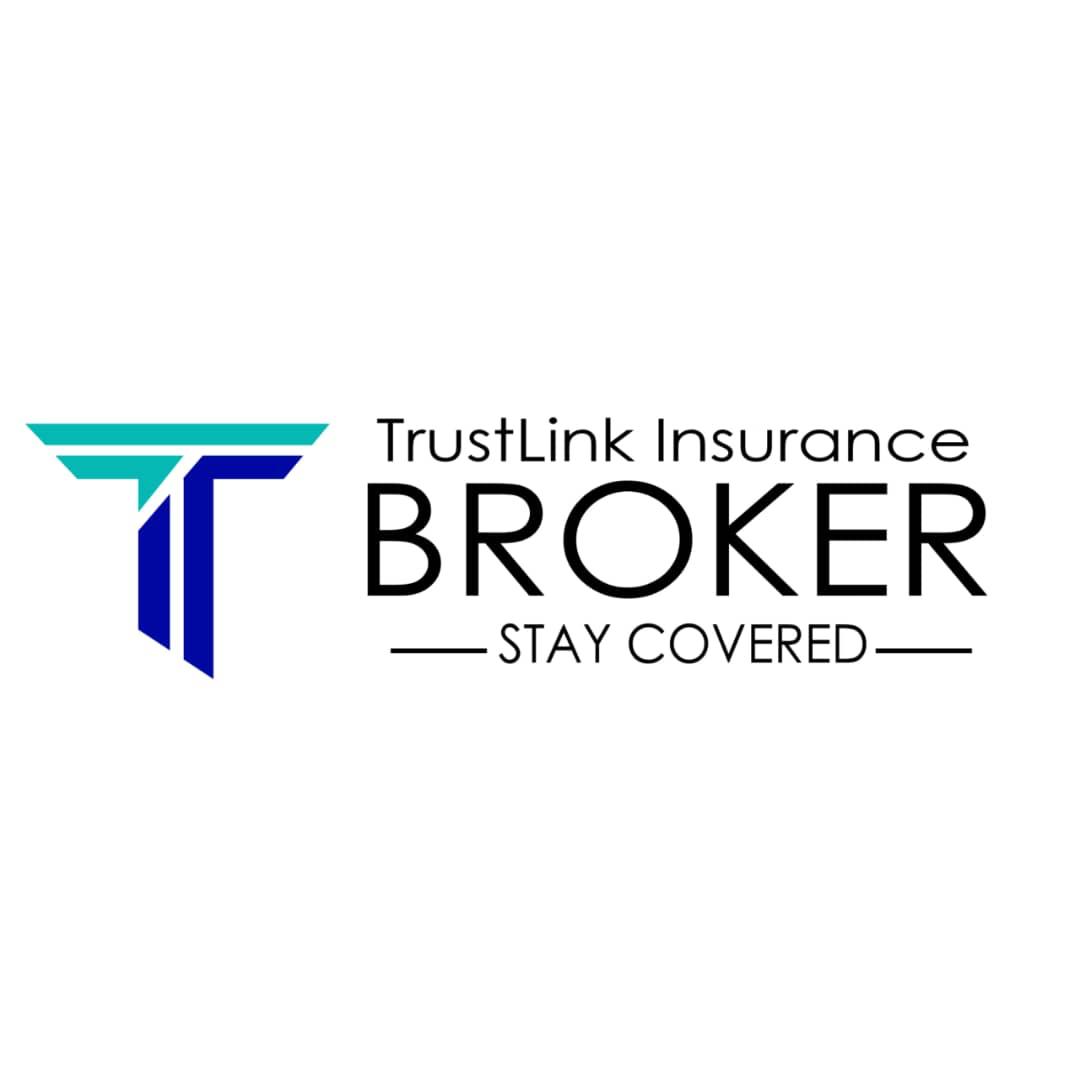 Graduate Program - Sales and Marketing (2 Position) at TrustLink Insurance Broker Limited, Dar es Salaam - January 2026