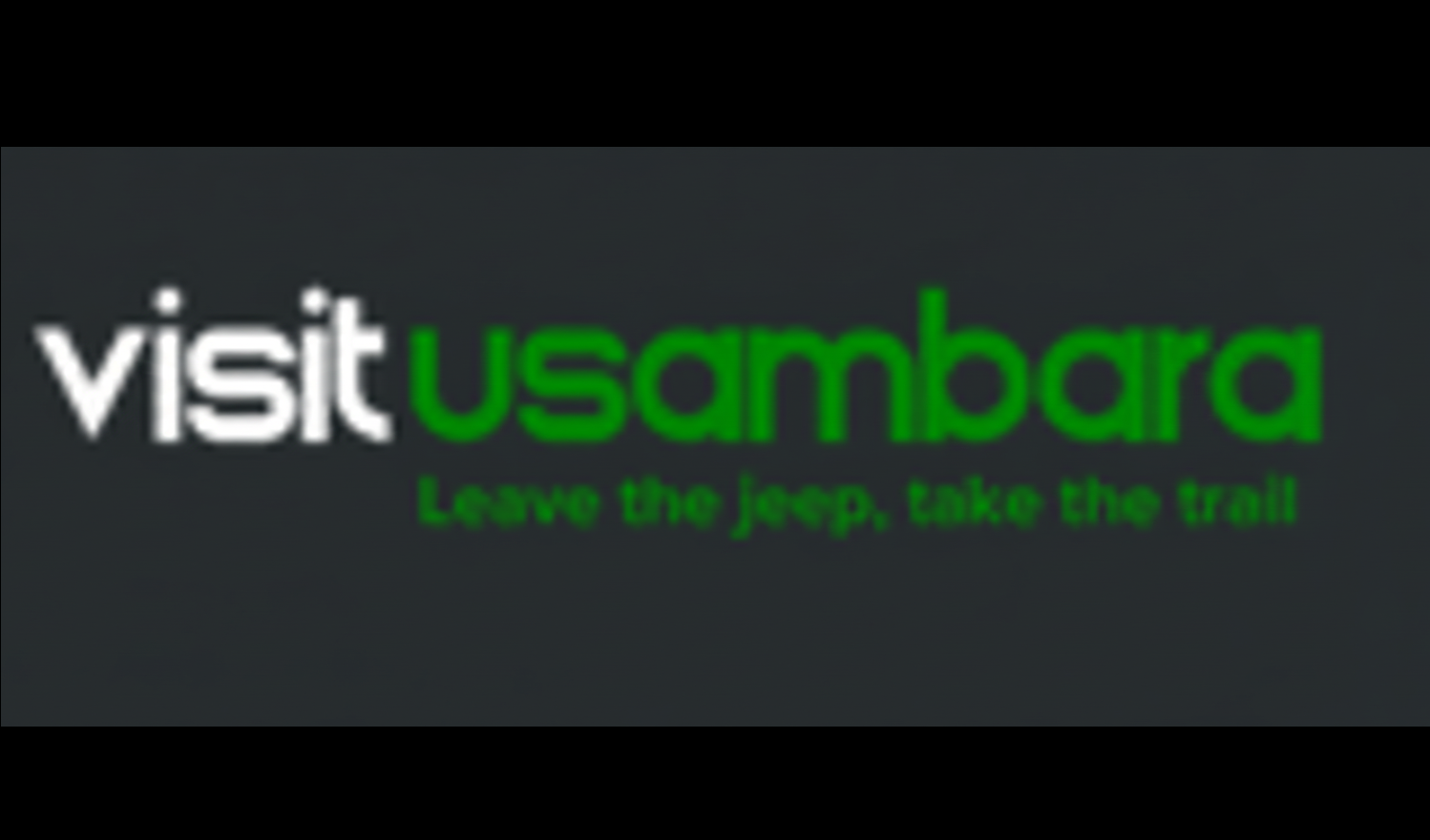 Tourism Office & Visitors Relations Officer at Visit Usambara Mountains, Lushoto - January 2026