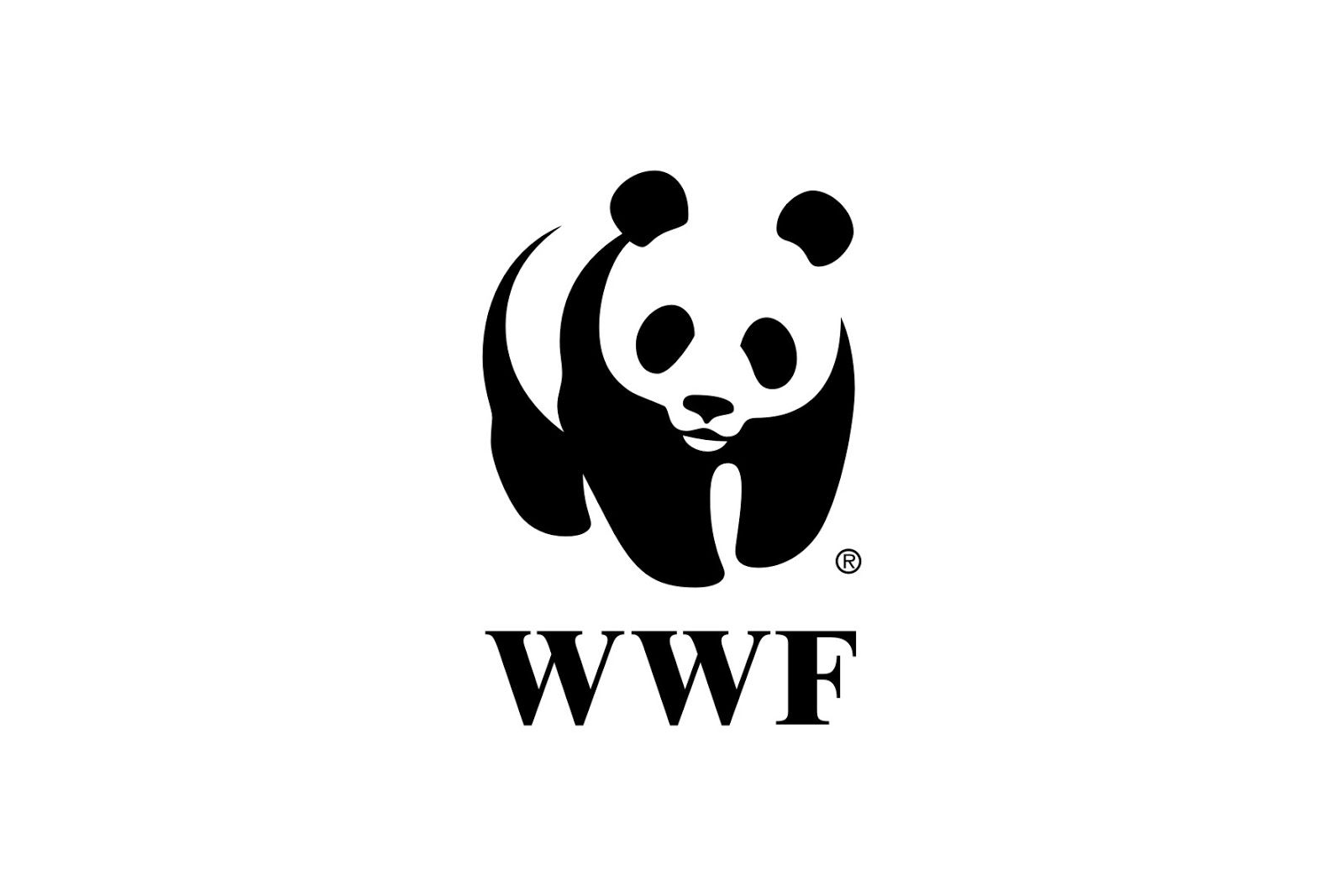 Project Finance Lead at WWF , Dar es Salaam February 2026