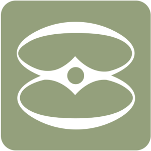 House Keeping Attendant Job Vacancy at Lululand Investments Ltd, Arusha March 2026