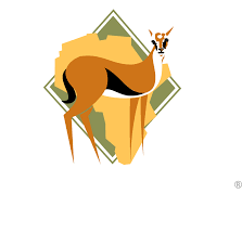 Accounts Team Leader at Thomson Safaris, Arusha March 2026