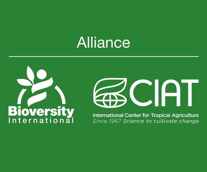 Senior Research Associate at Alliance Bioversity & CIAT , Arusha April 2026