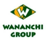 Wananchi Group Tanzania