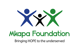 Internal Audit and Risks Officer at the Benjamin William Mkapa Foundation (BMF), Dar es Salaam May 2026