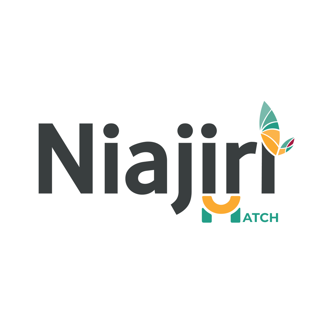 Logistics Officer Job Vacancy At Niajiri Platform Dar es salaam June 2026