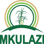 Mkulazi Holding Company Limited