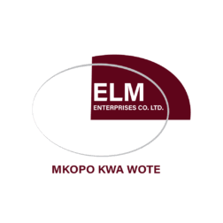 Sales and Loan Recovery Officer at ELM Microfinance, Dar es Salaam July 2026