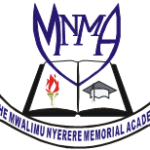 Mwalimu Nyerere Memorial Academy (MNMA)
