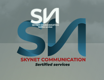 Micro Merchant Project Manager at Skynet Communication, Dodoma July 2026