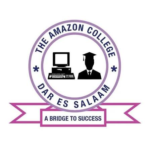 The Amazon Colleges (T) Limited