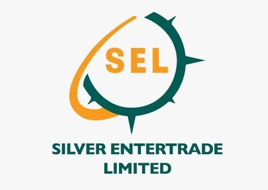 Senior Accountant Job Vacancy at Silver Entertrade Tanzania Limited Dar es salaam September 2026